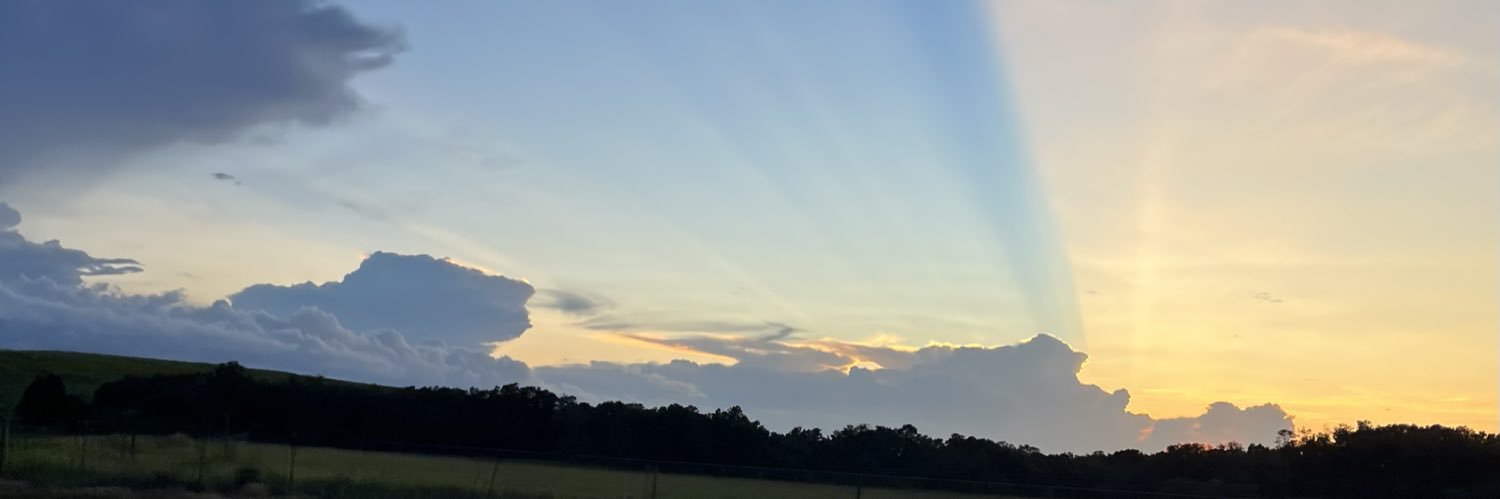 Pam Van Alstyne banner