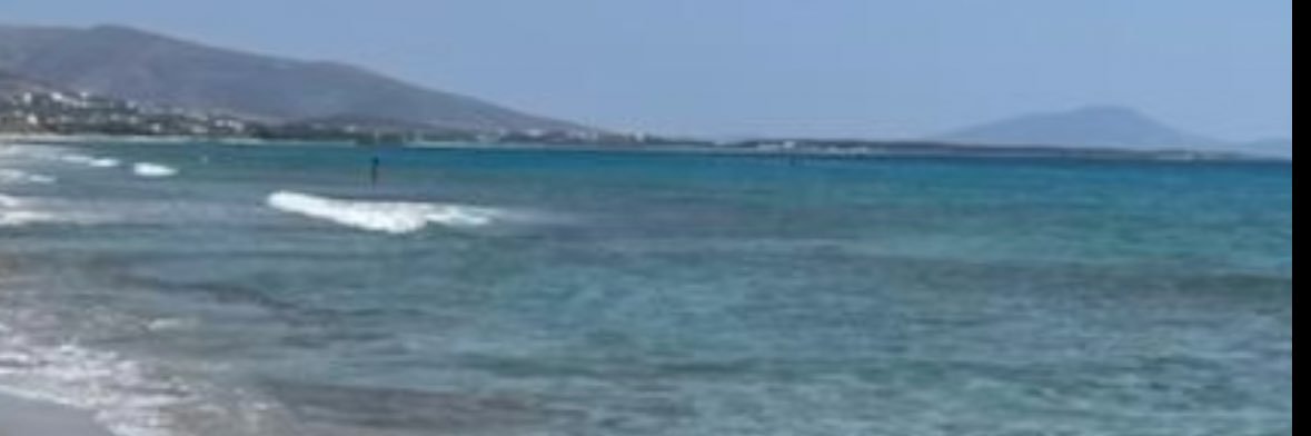 Pam Van Alstyne banner