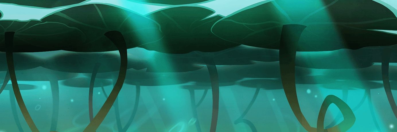 router 🎏's banner