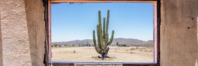 Fernando Lapuente Garcia banner