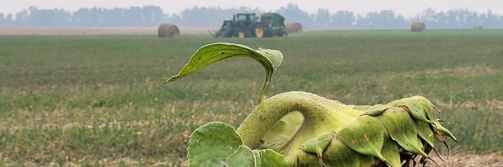 Collective Impact banner