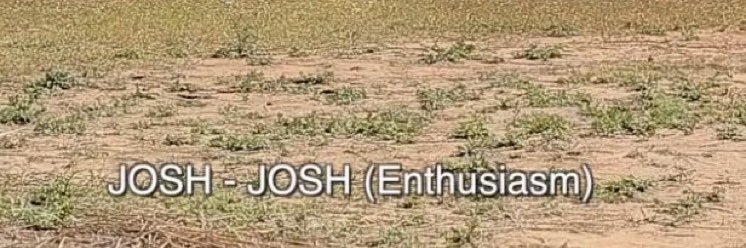 josh banner