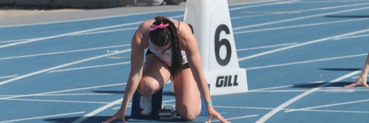 ellie mead banner