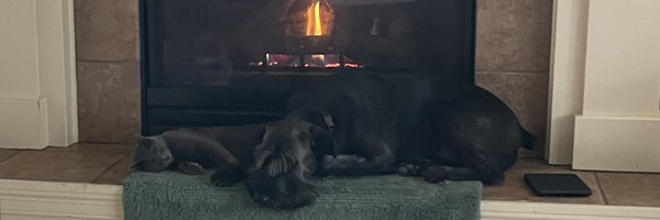 skpsajkvs Profile Banner