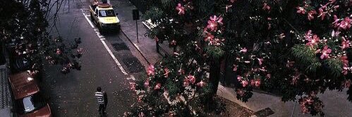 Doaa Ahmed banner