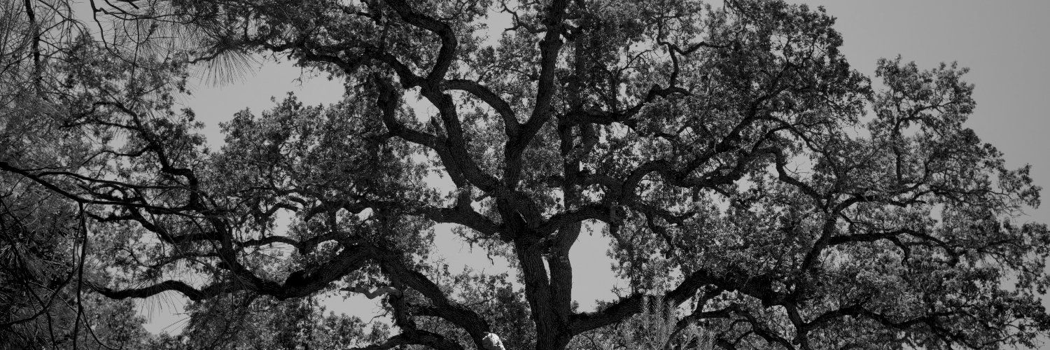 _delaneyjoyce_'s profile banner image