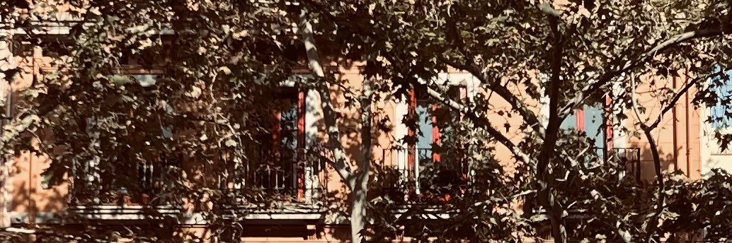 agustinlarocca's profile banner image