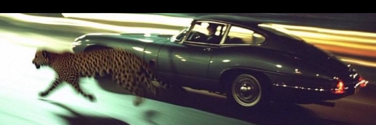 FARIS🐆 banner