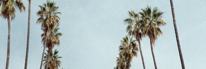 jadekiat's profile banner image