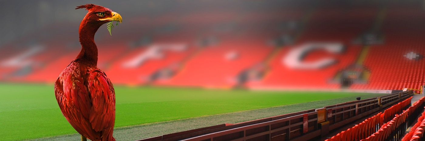 dazroderick's profile banner image