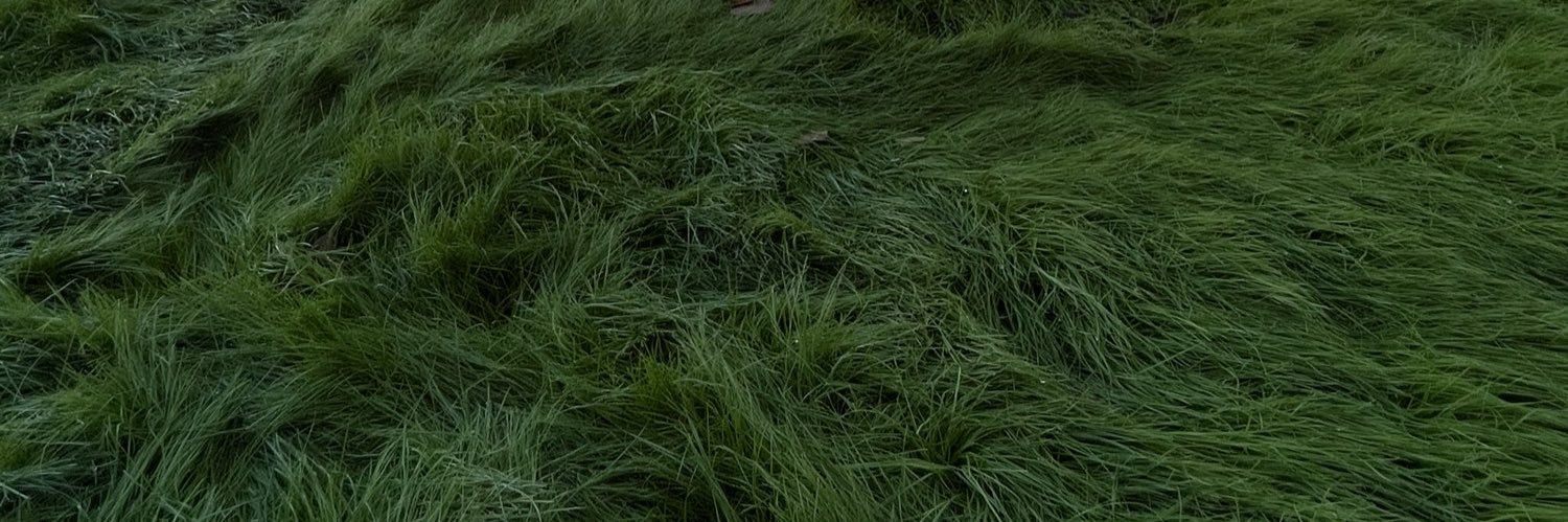 jennysteaparty's profile banner image