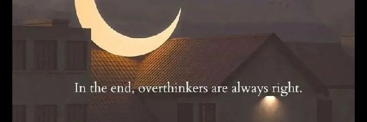 offwhitebird banner