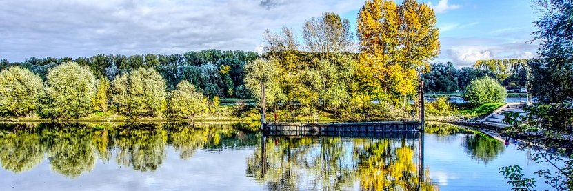 America has a sex trafficking crisis banner