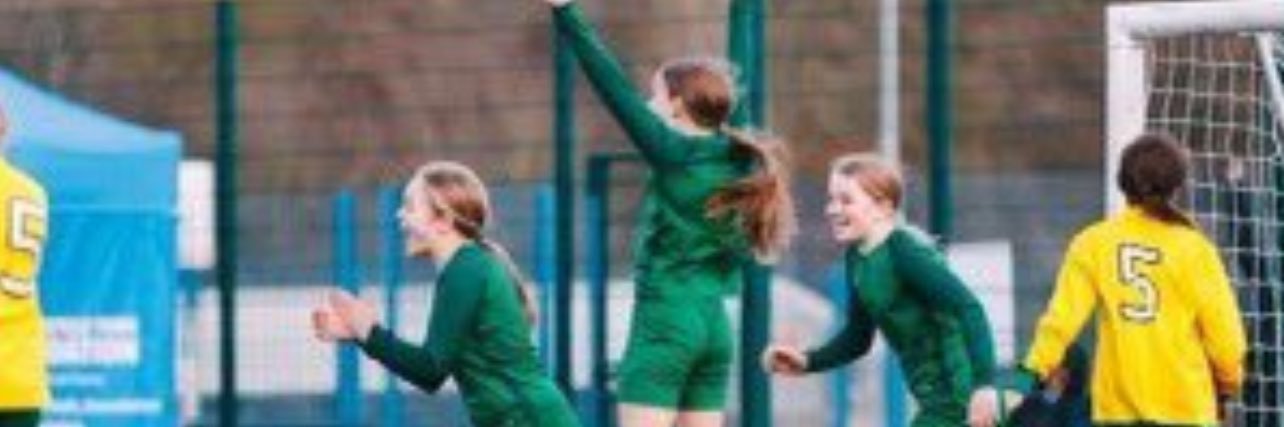 St Patrick’s Catholic Academy, Birstall - PE's banner