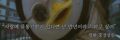 앤뽀 banner