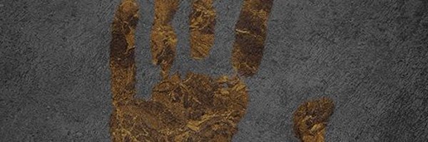 VyseM4H Profile Banner