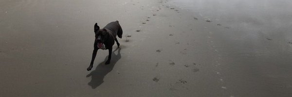 Ciaozu_ Profile Banner