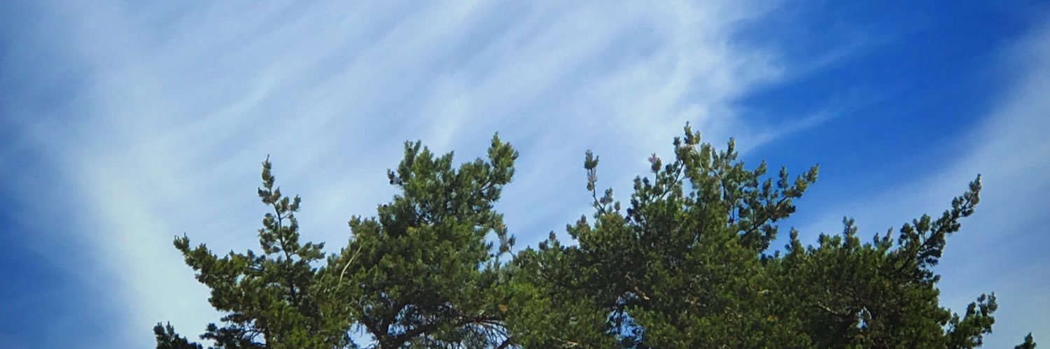 Matmamman's profile banner image