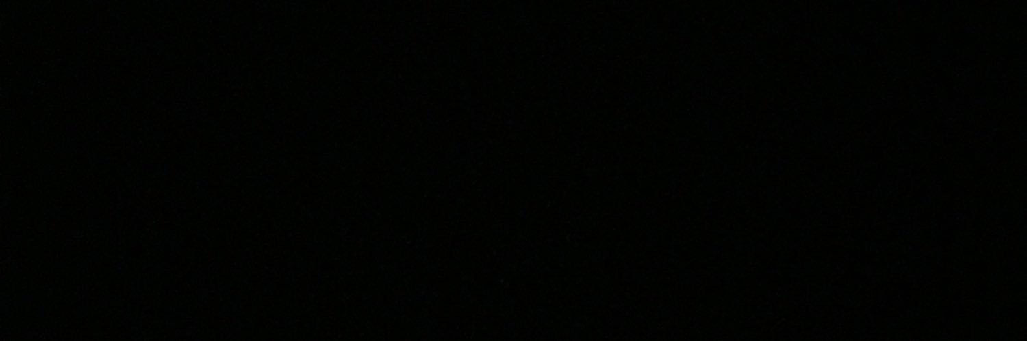 lnadl_'s profile banner image