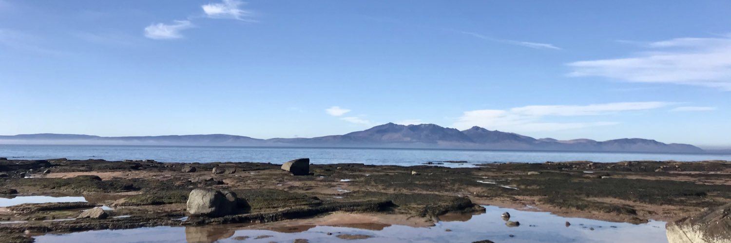 Dr Diane Morrow banner