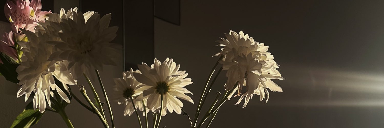macamuscio's profile banner image