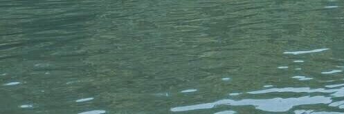 dragon130326's profile banner image
