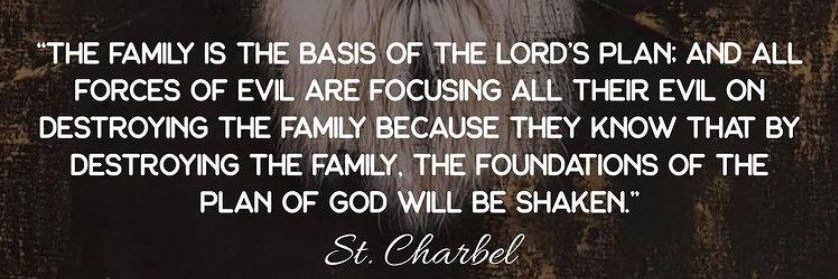 Catholic.Vengeance🇻🇦 banner