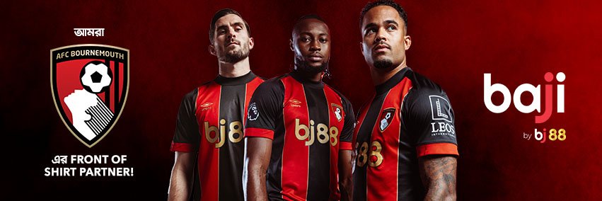 bajilivee's profile banner image