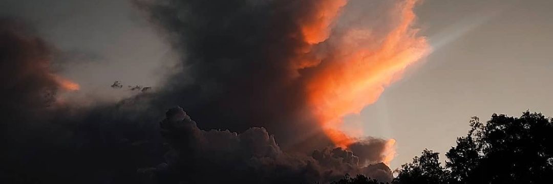 LucasWaidelich's profile banner image