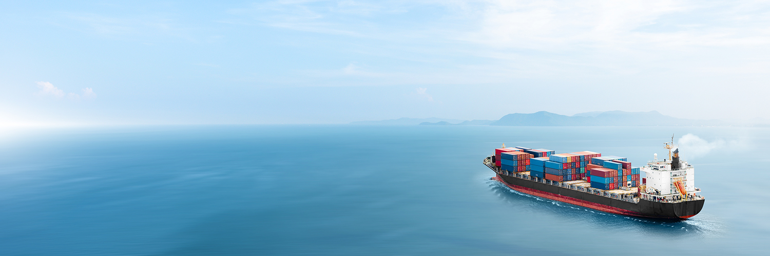 WTO banner
