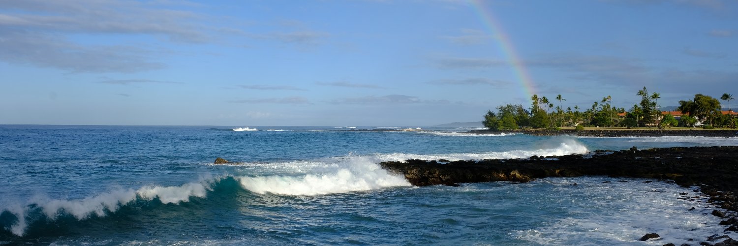 Ambereen K. Mehta, MD, MPH, FAAHPM banner