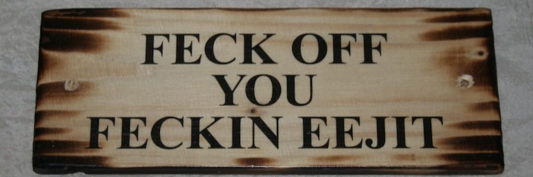 Siobhán☘️🦉🟦⬜️ banner