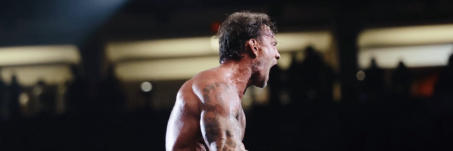 wweworld's profile banner image