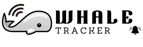 whale_tracking's profile banner image