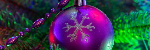 bertbrouwer70 Profile Banner