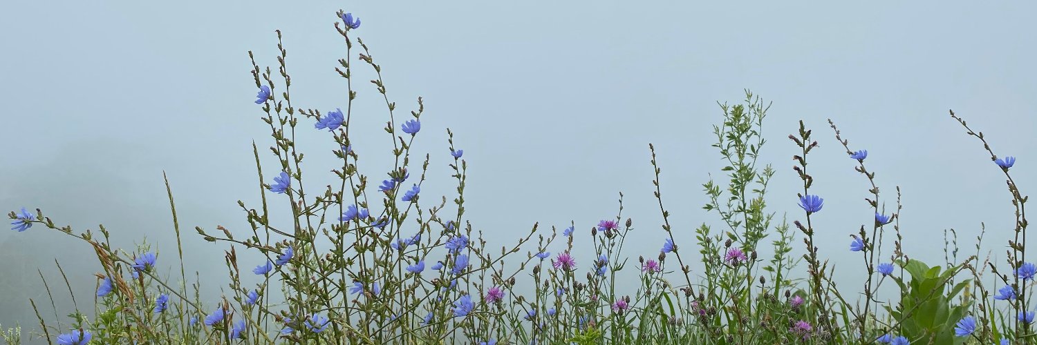 KylieKiser's profile banner image