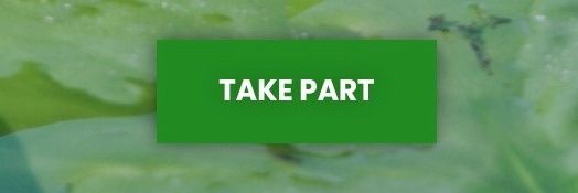 InitiativeGE's profile banner image