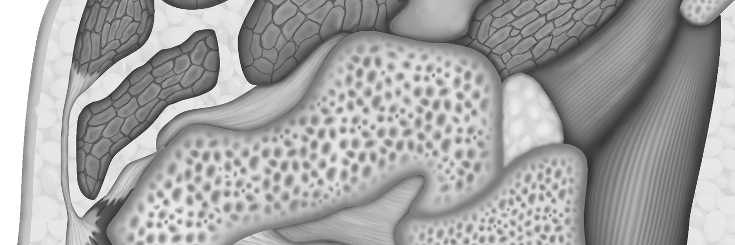Medality (formerly MRI Online)'s banner