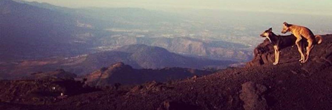 giliardisonsf's profile banner image