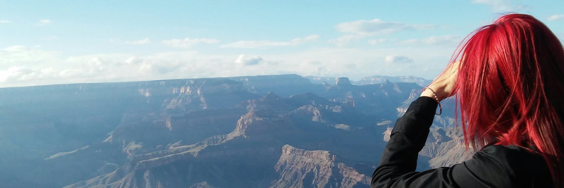 MDennington's profile banner image