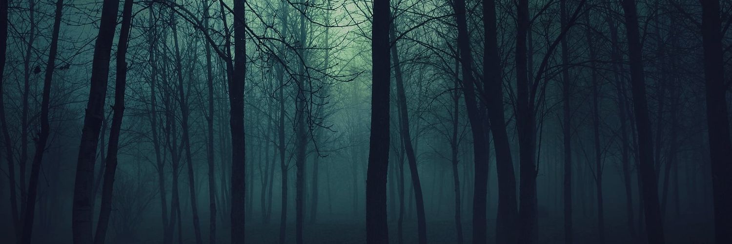 StarSeedRandom's profile banner image
