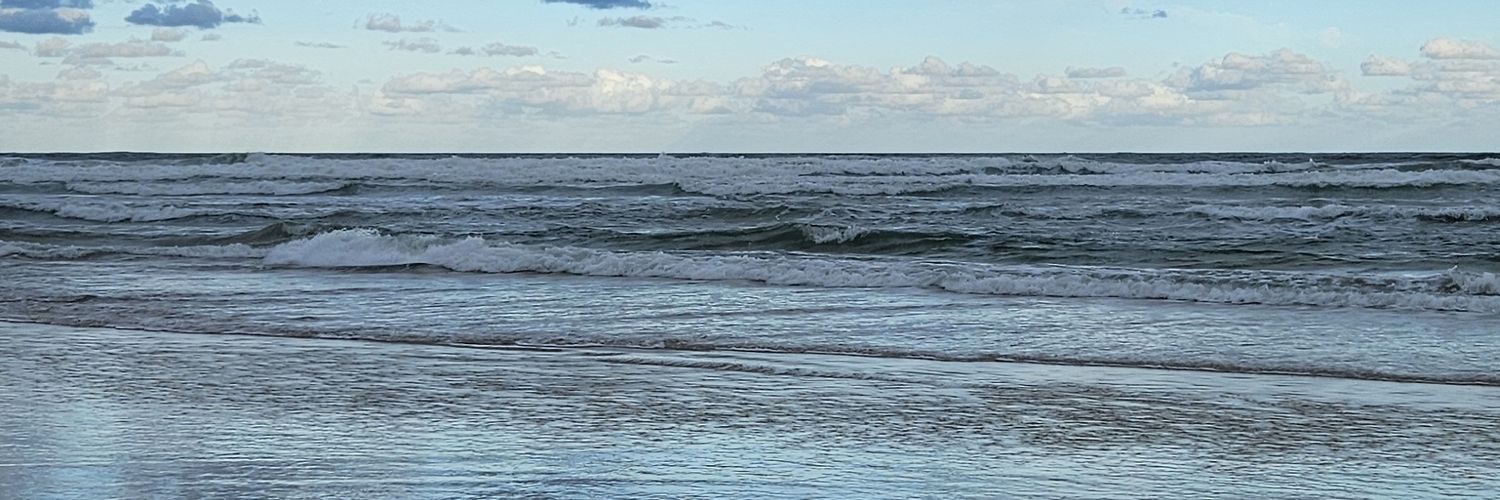 vallsali91's profile banner image