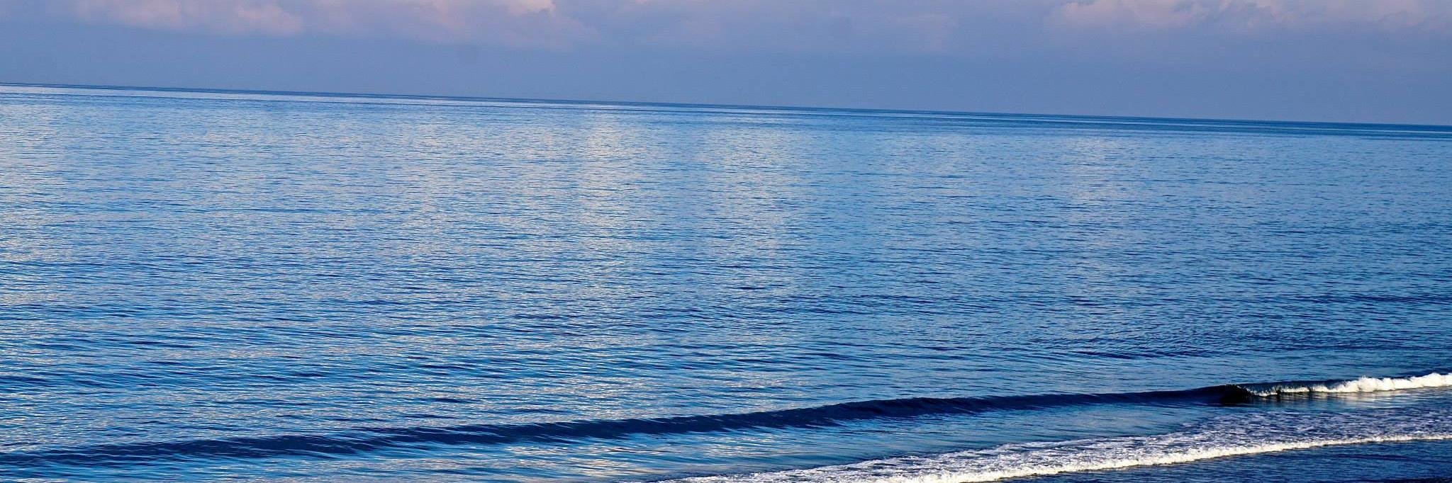 John J Gentry banner