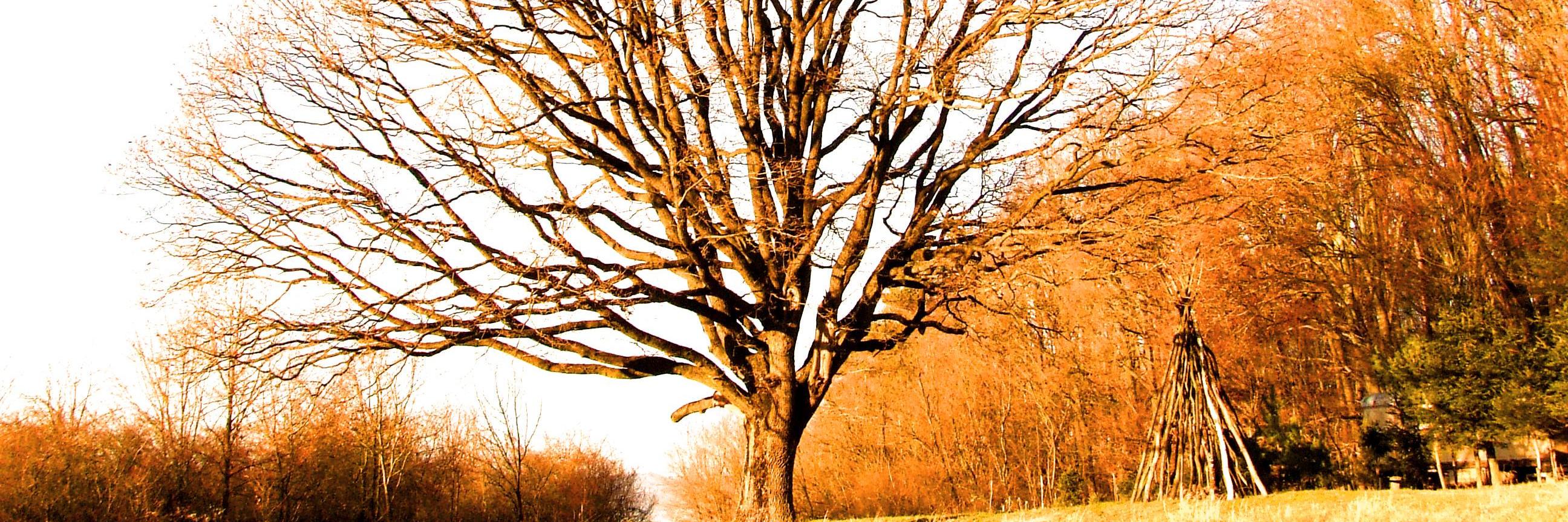 JohnTintera's profile banner image
