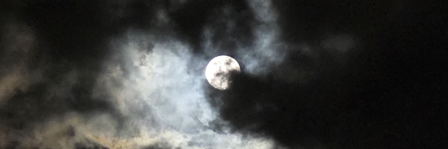 DavidMorozz's profile banner image