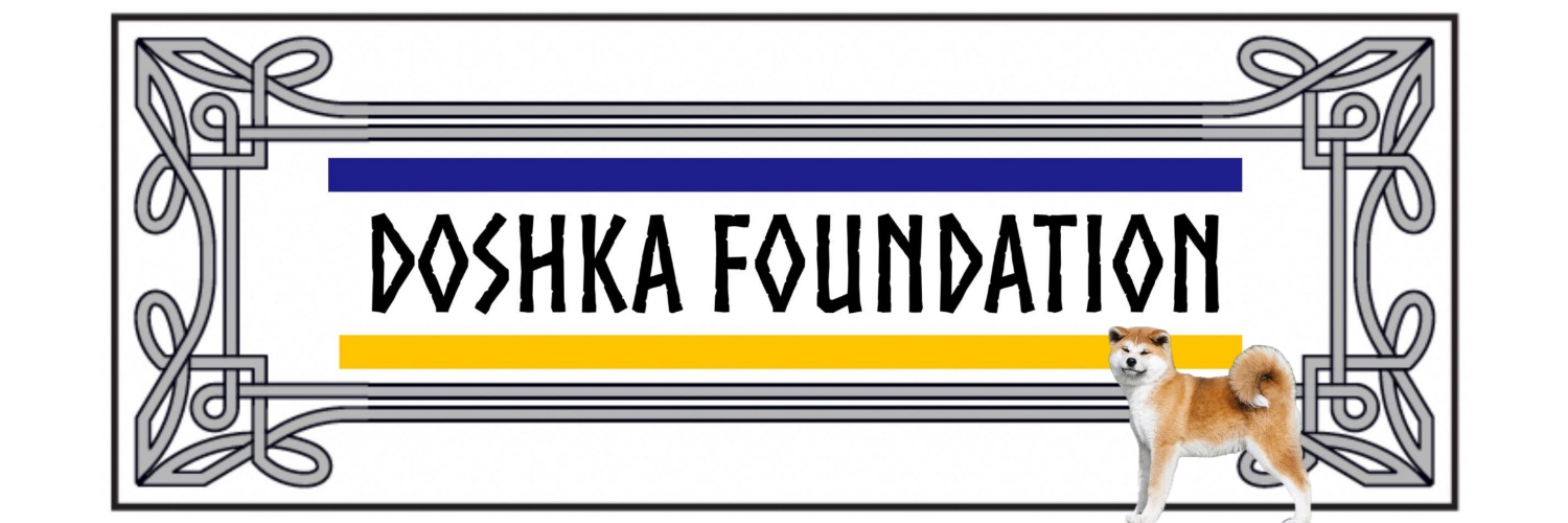 Doshka Foundation 🇫🇷🇺🇦's banner