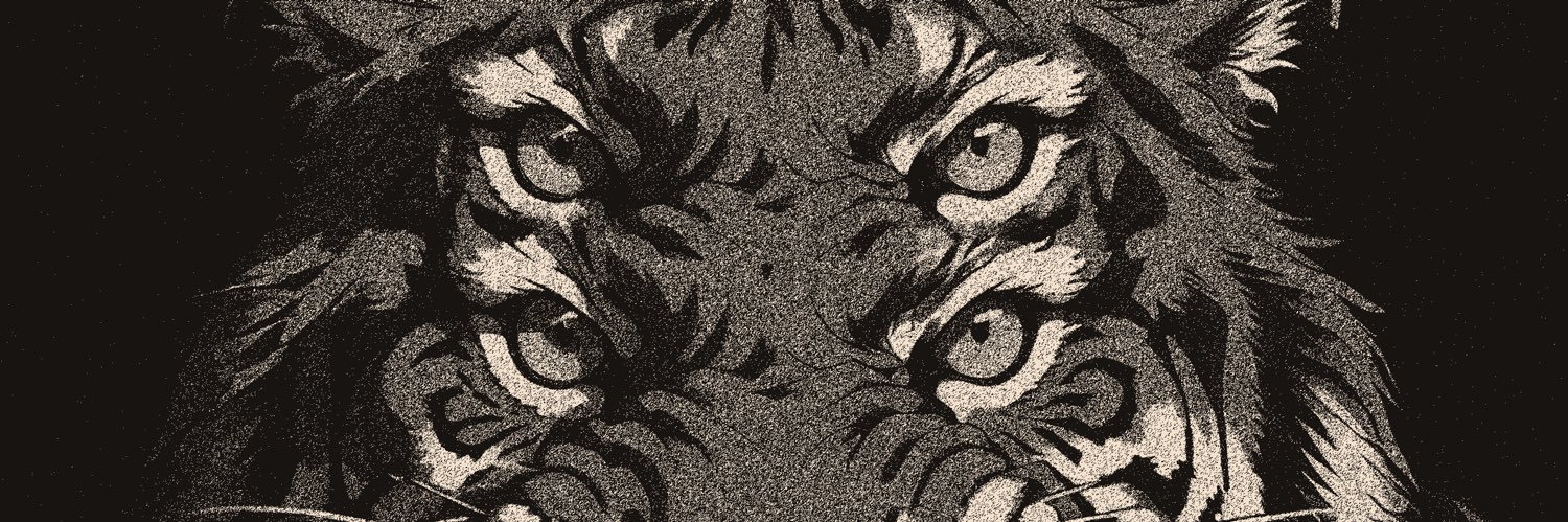 diegojcornejo's profile banner image