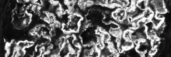 ATchakarov1 Profile Banner