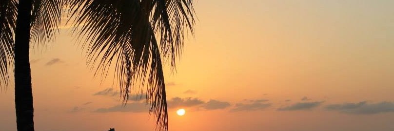 IThunkIt 🇺🇸 🏌️‍♂️ banner