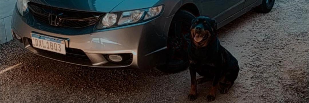 beto 🇪🇪 banner